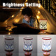 Spider Table Lamp - 16 Color LED Spider Night Light with Remote Control for Kids Room Bedroom Nightstand Decoration Birthday Christmas Children's Holiday s (White)