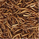 Extra Select Dried Mealworms Wild Bird Treat, 5 Kg08Mw5Kg Extra Select Dried Mealworms Wild Bird Treat, 5 Kg08Mw5Kg