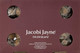 Fat Balls For Wild Birds - Jacobi Jayne® Chunky Dumplings™ Premium Suet Balls - Pack Of 48 X 85G - High Energy Fat Balls Wild Bird Food Feed To Attract Small Wild Birds Year Roundcd85-48