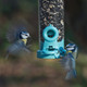 Jacobi Jayne Flo-S1B Bird Feeder, Aqua, Smallflo-S1B Jacobi Jayne Flo-S1B Bird Feeder, Aqua, Smallflo-S1B