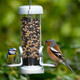 Jacobi Jayne Ring-Pull Click Small Seed Feeder, Zinc Birdrp3-S1Z Jacobi Jayne Ring-Pull Click Small Seed Feeder, Zinc Birdrp3-S1Z