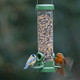Jacobi Jayne® Flo™ Bird Feeder - Bird Feeders For Small Birds. Easy Clean Bird Seed Feeder. Won'T Clog Or Block. Flo™ Hanging Bird Feeder For Wild Bird Seed. 2 Year . Classic Green, Smallflo-S1C