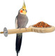Katumo Bird Perch Bird Feeding Cup Parrot Wood Perch Stand Toy Bird Cage Accessory For Parakeet Lovebird Conure Budgie Canary Finch Small Parrots Katumo Bird Perch Bird Feeding Cup Parrot Wood Perch Stand Toy Bird Cage Accessory For Parakeet Lovebird Conure Budgie Canary Finch Small Parrots