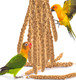 Katumo Spray Millet Treats, 7Oz / 200G Natural Sun-Dried Bird Treats Parakeet Treats For Conure Cockatiel Finch Pigeon Hamster Canary Treats
