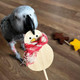 Large Festive Lollipop Parrot Foot Toys - Pack Of 4 Large Festive Lollipop Parrot Foot Toys - Pack Of 4