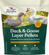 Manna Pro Duck Layer Pellet High Protein For Increased Egg Production Formulated With Probiotics To Support Healthy Digestion 8 Pounds Manna Pro Duck Layer Pellet High Protein For Increased Egg Production Formulated With Probiotics To Support Healthy Digestion 8 Pounds