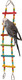 Northern Parrots Coloured Bendy Ladder Climbing Parrot Budgie Toy Northern Parrots Coloured Bendy Ladder Climbing Parrot Budgie Toy