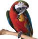 Northern Parrots Wood Fruit Chews Parrot Foot Toys Pack Of 3 Northern Parrots Wood Fruit Chews Parrot Foot Toys Pack Of 3