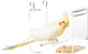 Parrot Food Mate - Acrylic Less Mess Feeder - Small Parrot Food Mate - Acrylic Less Mess Feeder - Small
