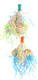Purse Party Chewable Foraging Parrot Toy