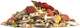 Rio Food For Parrots Daily Ration, 1 Kg21062