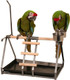 Tabletop Parrot Stand With Toy Hanger & Feeder Antique221102Np Tabletop Parrot Stand With Toy Hanger & Feeder Antique221102Np