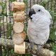 Wesco Pet Fiesta Bird Kabob Shreddable Parrot Toyfd20081