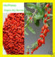 Nutritionsource Healthyway Organic Goji Berries Raw Superfood 1 Lb Wolfberry