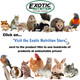 Exotic Nutrition Thirsty Cricket Gel (2 Lb.) - Calcium-Enriched Alternative Water Source For Crickets And Mealworms