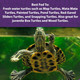 Mazuri Nutritionally Complete Aquatic Turtle Food Freshwater Formula - 12 Ounce (12 Oz) Bag Mazuri Nutritionally Complete Aquatic Turtle Food Freshwater Formula - 12 Ounce (12 Oz) Bag