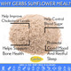 Gerbs Ground Sunflower Seed Meal, 2 Lbs - Top 14 Food Allergy & Non Gmo - Vegan & Keto Safe – Cold Milled Full Oil Seed Protein Powder