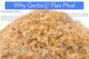 Ground Raw Flax Seed Meal By Gerbs - 4 Lbs - Top 11 Food Allergen & Non Gmo - Vegan & Kosher – Premium Full Oil Content Flax Protein Powder Ground Raw Flax Seed Meal By Gerbs - 4 Lbs - Top 11 Food Allergen & Non Gmo - Vegan & Kosher – Premium Full Oil Content Flax Protein Powder
