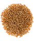 Hard Red Spring Wheat Berries 25 Lbs Meet The Farmers 100% Desiccant Sproutable Non-Gmo Project Verified Kosher Poly Bag
