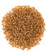 Hard Red Spring Wheat Berries 5 Lbs 100% Non-Irradiated Kosher Parve Usa Grown Non-Gmo Project Verified