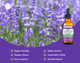Kate Naturals Lavender Extract For Baking, Coffee & Drinks (1Oz). 100% Natural, Vegan Lavender Flavoring. Tasty Gluten Food-Grade Edible Lavender Oil. Culinary Lavender Extract For Cooking