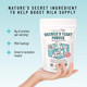 Legendairy Milk Brewer'S Yeast Powder For Lactation Cookies (16Oz) - Increase Breast Milk Supply - Debittered, Unflavored, Non-Gmo & Gluten Lactation Supplement For Breastfeeding Support Legendairy Milk Brewer'S Yeast Powder For Lactation Cookies (16Oz) - Increase Breast Milk Supply - Debittered, Unflavored, Non-Gmo & Gluten Lactation Supplement For Breastfeeding Support