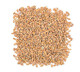 Roland Foods Organic Einkorn Wheat, Ancient Grain, 17.6 Ounce Bag, Pack Of 12