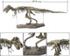 Hercus 3D T-Rex Dinosaur Skeleton Model Puzzles Simulation Educational Toy Pre-School Teaching Soft Non-Toxic PVC Material s
B07Y46Q9TF