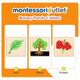 Montessori Outlet Animal Puzzles Activity Set (Botany Puzzle Cabinet)
B07T4LLW33 Montessori Outlet Animal Puzzles Activity Set (Botany Puzzle Cabinet)
B07T4LLW33
