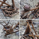 Yaqumw Adjustable Crossbow Siege Ancient Chariot Catapult Machinery Stone-Thrower Slingshot 3D DIY Wooden Puzzle Tabletop Game Model Kits Stem Projects Trebuchet Desktop Toy
B086N29KNJ Yaqumw Adjustable Crossbow Siege Ancient Chariot Catapult Machinery Stone-Thrower Slingshot 3D DIY Wooden Puzzle Tabletop Game Model Kits Stem Projects Trebuchet Desktop Toy
B086N29KNJ