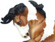 Breyer Traditional Series Gypsy Vanner Model Horse Toy 13" X 8.5" 1:9 Scale Model # 1497