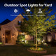Outdoor Spot Lights For Yard Plug In Spotlights With 5 Extra Lenses (Red Yellow Green Blue Purple) 6000K WhiteSuitable For Holiday Daily YardHalloweenGarden Lawn Tree Decoration2 Pack Outdoor Spot Lights For Yard Plug In Spotlights With 5 Extra Lenses (Red Yellow Green Blue Purple) 6000K WhiteSuitable For Holiday Daily YardHalloweenGarden Lawn Tree Decoration2 Pack