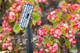Enbrighten Mega Stake Led Landscape Light Management 14 Tall Durable 54483 Black