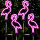 Hortsun Flamingo Solar Lights Outdoor Neon Light Yard Pink Flamingo Waterproof Decorations For Garden Patio Yard Pathway Decoration(2 Pack) Hortsun Flamingo Solar Lights Outdoor Neon Light Yard Pink Flamingo Waterproof Decorations For Garden Patio Yard Pathway Decoration(2 Pack)