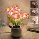 Artificial Flower Night Light Usb Plug-In Orchid Flower With Vase Lamp Infinite Dimming Ambient Light Led Desktop Decorative Landscape Lights For Festival Party Home Decor (Pink) Artificial Flower Night Light Usb Plug-In Orchid Flower With Vase Lamp Infinite Dimming Ambient Light Led Desktop Decorative Landscape Lights For Festival Party Home Decor (Pink)