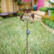 Take Me Owl Garden Solar Lights Outdoor Solar Powered Stake Lights Mothers Day Garden s Mom Wife Grandma - Metal Owl Led Decorative For WalkwayPathwayYardLawn (Bronze) Take Me Owl Garden Solar Lights Outdoor Solar Powered Stake Lights Mothers Day Garden s Mom Wife Grandma - Metal Owl Led Decorative For WalkwayPathwayYardLawn (Bronze)