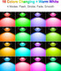 Zuckeo Outdoor Landscape Spotlights Rgb Color Changing Landscape Lights With Transformer And Wire All In One Kit Low Voltage Led Spot Lights (4Pack) Zuckeo Outdoor Landscape Spotlights Rgb Color Changing Landscape Lights With Transformer And Wire All In One Kit Low Voltage Led Spot Lights (4Pack)