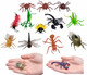Large 2"-3" Insect Set (24 Pieces) Plastic. 12 Realistic Looking Designs. Lady Bug Scorpion Spider Ant Grasshopper Fly Praying Mantis And More. (Classic 24 Pack)