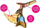 Build Your Own Moving Pteranodon - Pull Tab Flapping Wing Action - Eco Friendly Cardboard Craft Kit - Ages 8+