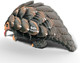 Eugy Pangolin 3D Puzzle - 30 Piece Eco-Friendly Educational Toy Puzzle For Boys, Girls & Kids Ages 6+ Eugy Pangolin 3D Puzzle - 30 Piece Eco-Friendly Educational Toy Puzzle For Boys, Girls & Kids Ages 6+