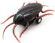 Uniqus Pull Back Fake Plastic Cockroach, Insect Joke Toy Crawls Super Fast, Prank Scary Trick Bugs For Party, 2.4"(L) X 1"(W) 0.25Oz