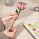 Yrdgrg Rojada Handmade Diy 3D Puzzle Flowers,3D Wooden Puzzles For Adults, Diy Flowers Model Kits,Home Decor Art Craft Unique s For Family And Friend (Sunflower)