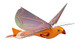 Duncan Toys Dragon Hawk Light-Up Flying Bird - Day/Night Motorized Toy With Shake Auto Start, Usb Charger, 2 Flight Positions Duncan Toys Dragon Hawk Light-Up Flying Bird - Day/Night Motorized Toy With Shake Auto Start, Usb Charger, 2 Flight Positions