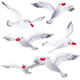 Foilswirl 10 Pcs Large Inflatable Seagull Ornaments 24.41 X 13.78 Inch Summer Blow Up Seagull Beach Bird Party Decoration Flying Seabird Balloon For Birthday Baby Shower Hawaiian Pool