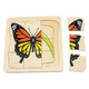 Gudong Toddler Montessori Science Toys Life Cycle Of Butterfly Grow Up 3D Puzzle Panel Preschool Infant Animals & Nature Kindergarten Butterfly Growth Puzzle
