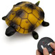 Tipmant Cute Rc Turtle Remote Control Tortoise Toy Realistic Simulation Electric Electronic Animal For Cat Toddler Kids Birthday (Brown)