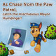 Trefl - Spy Guy Paw Patrol Lookout, Cooperative Detective Game, Family Board Game, Chase And The Team Searching For Clues, Huge Cartoon Board, For Adults And Children Aged 3 And Over Trefl - Spy Guy Paw Patrol Lookout, Cooperative Detective Game, Family Board Game, Chase And The Team Searching For Clues, Huge Cartoon Board, For Adults And Children Aged 3 And Over
