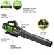Greenworks 40V Leaf Blower and Pole Saw Combo Kit,2.0Ah Battery and Charger Included Greenworks 40V Leaf Blower and Pole Saw Combo Kit,2.0Ah Battery and Charger Included