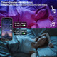 Auplf Motion Sensor Led Light Strip 19.68Ft Under Bed Lights Rgb 3 Mode Motion Activated Bed Light With Music Sync And Timer Dimmable Color Changing Led Lights Auplf Motion Sensor Led Light Strip 19.68Ft Under Bed Lights Rgb 3 Mode Motion Activated Bed Light With Music Sync And Timer Dimmable Color Changing Led Lights