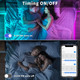 Bason Lighting Bluetooth Led Lights For Bedroom 32.8Ft, Led Strip Lights With Remote Control And 24V Power Supply Smd 5050 300 Leds Color Changing Lights For Room Kitchen And Indoor Decoration. Bason Lighting Bluetooth Led Lights For Bedroom 32.8Ft, Led Strip Lights With Remote Control And 24V Power Supply Smd 5050 300 Leds Color Changing Lights For Room Kitchen And Indoor Decoration.